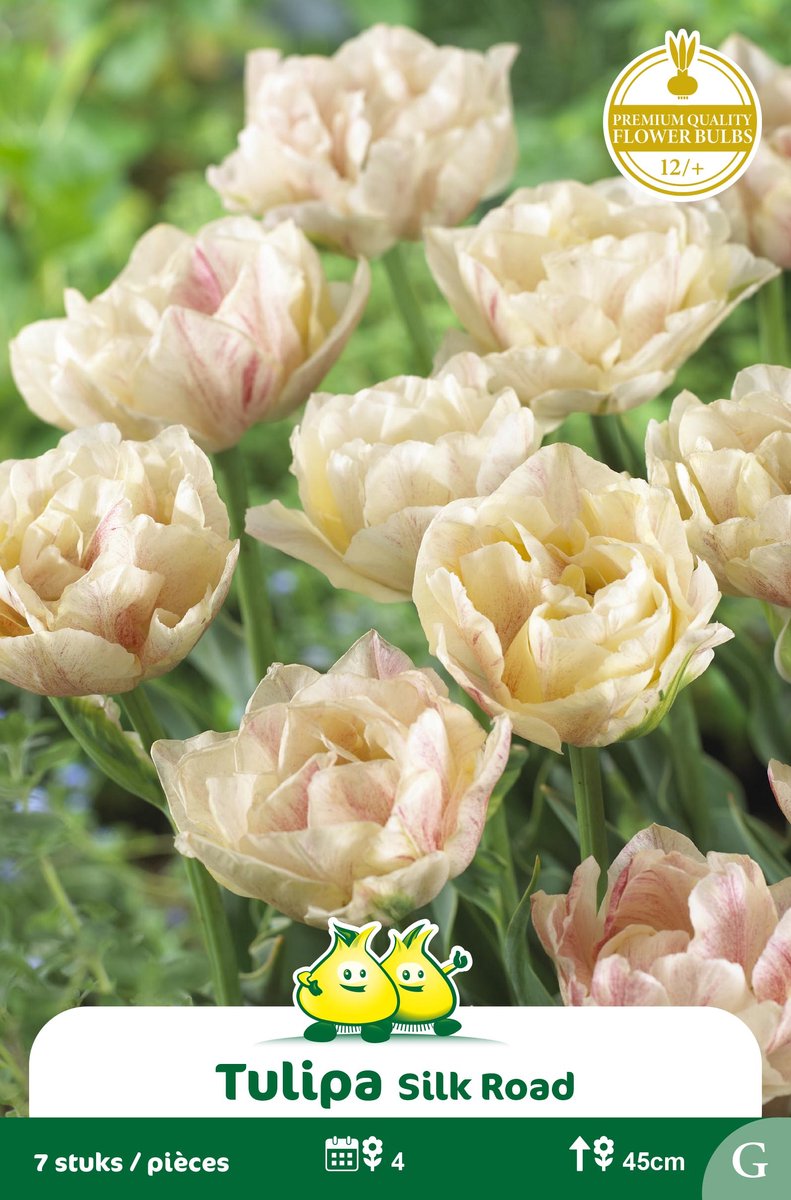 2 Zakjes Dubbele Tulpen Silk Road maat 12/+