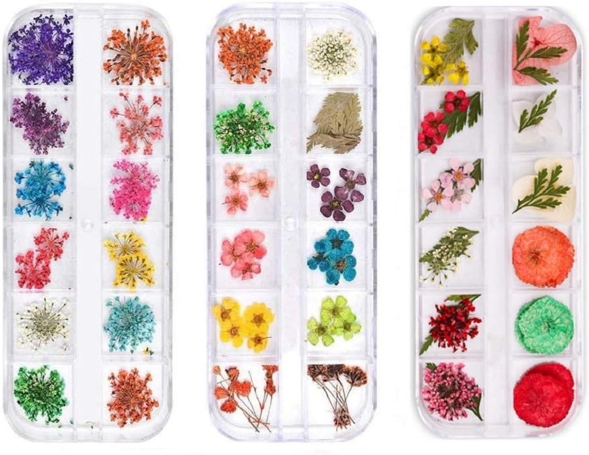 SnelShoppen - Nail Art Decoratie Set met 3 Dozen Gedroogde Bloemen, Natuurlijke Bloemen voor Nail Art, Multicolore Dried Flowers voor Resin, Scrapbook