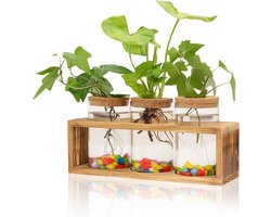 Retro Houten Plantenkweekstation met Glazen Terrarium Decoratie en 3 Vazen, Ideaal voor Hydroponics en Thuis Kantoor Tuin Decor