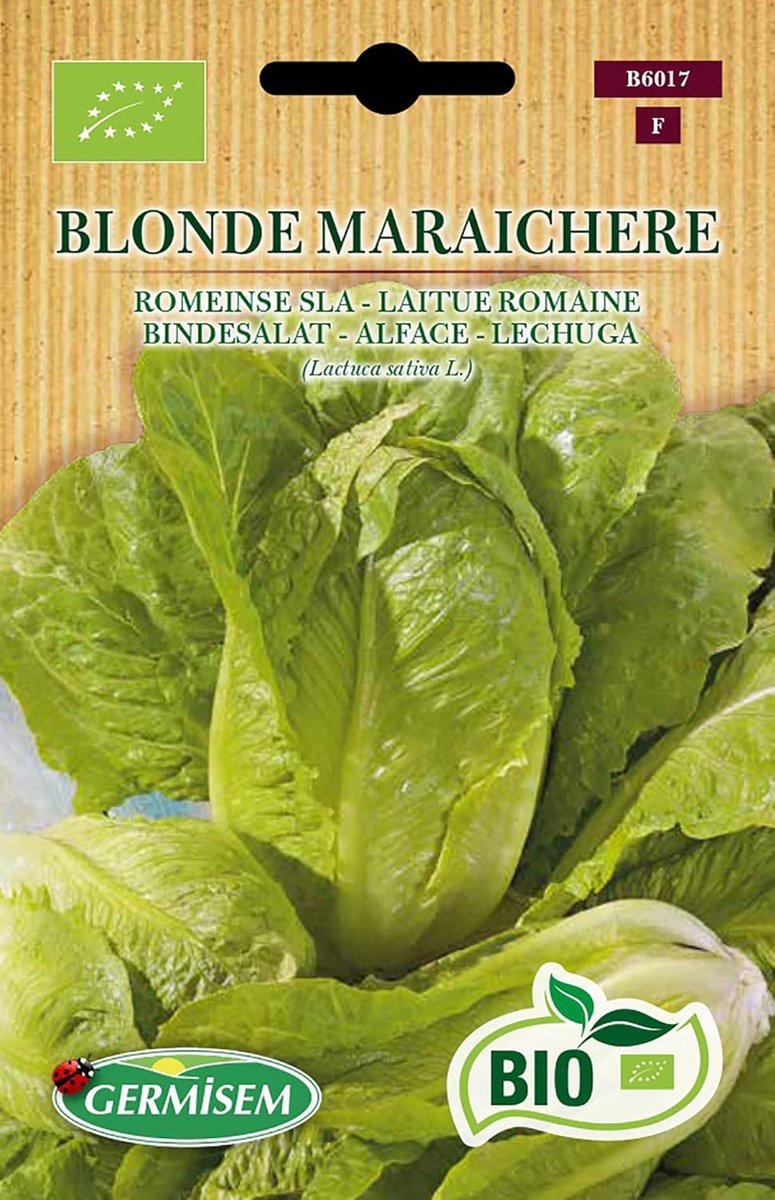 SnelShoppen - Biologische Blonde Maraichere Binding Salade Zaden 1g - Perfect voor Tuin, Keuken, Stews - Zaaien van Maart tot Mei, Oogsten van Juni to