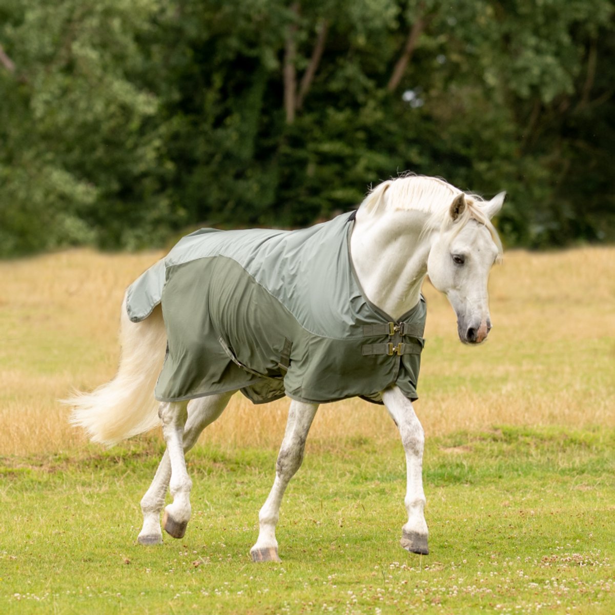 Busse Paddockdeken Rainfly-135-185-Olijf