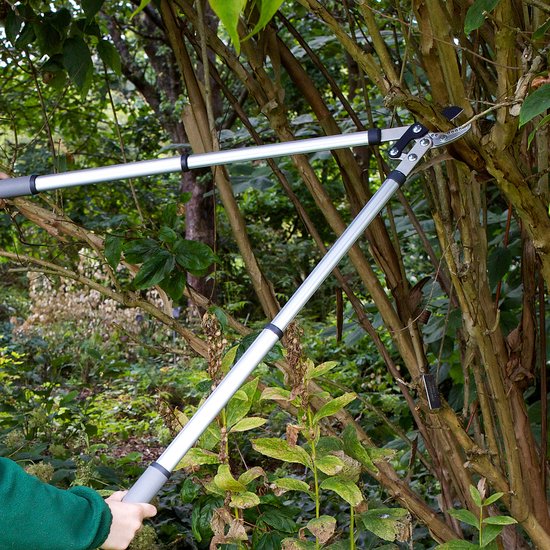 Telescopische hefboom takkenschaar professioneel — afbeelding 4