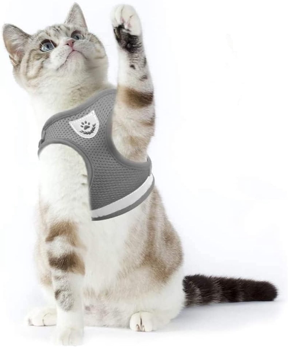 SnelShoppen - Cat Harness voor Katten en Puppies - Zachte Konijnen Set met Leash voor Kittens en Chihuahua's - Reflecterend, 120 cm lang, 40 cm breed