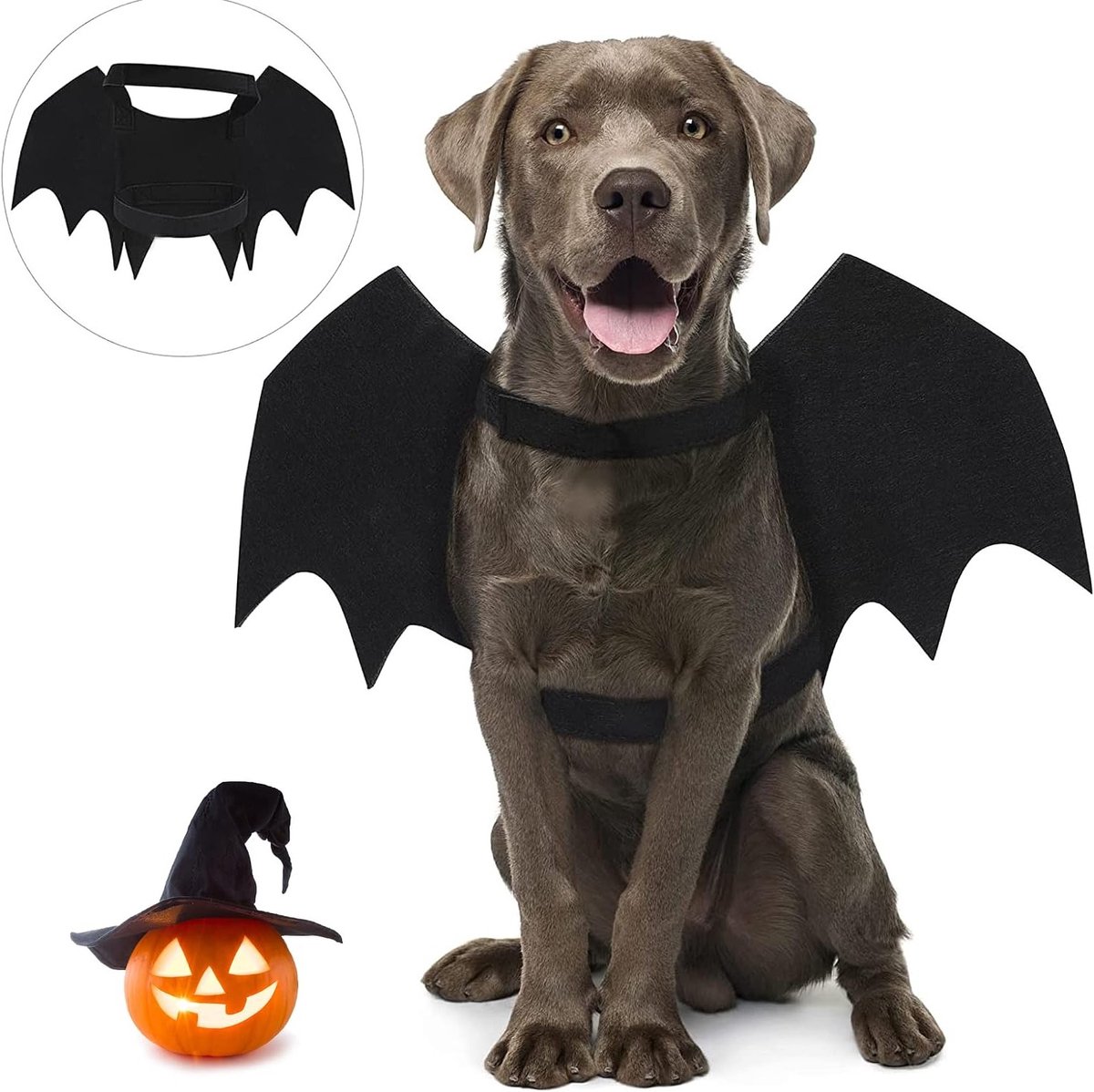 Batvleugels Kostuum voor Huisdieren - Halloween Outfit voor Katten en Honden, Feestdecoratie, Groot formaat