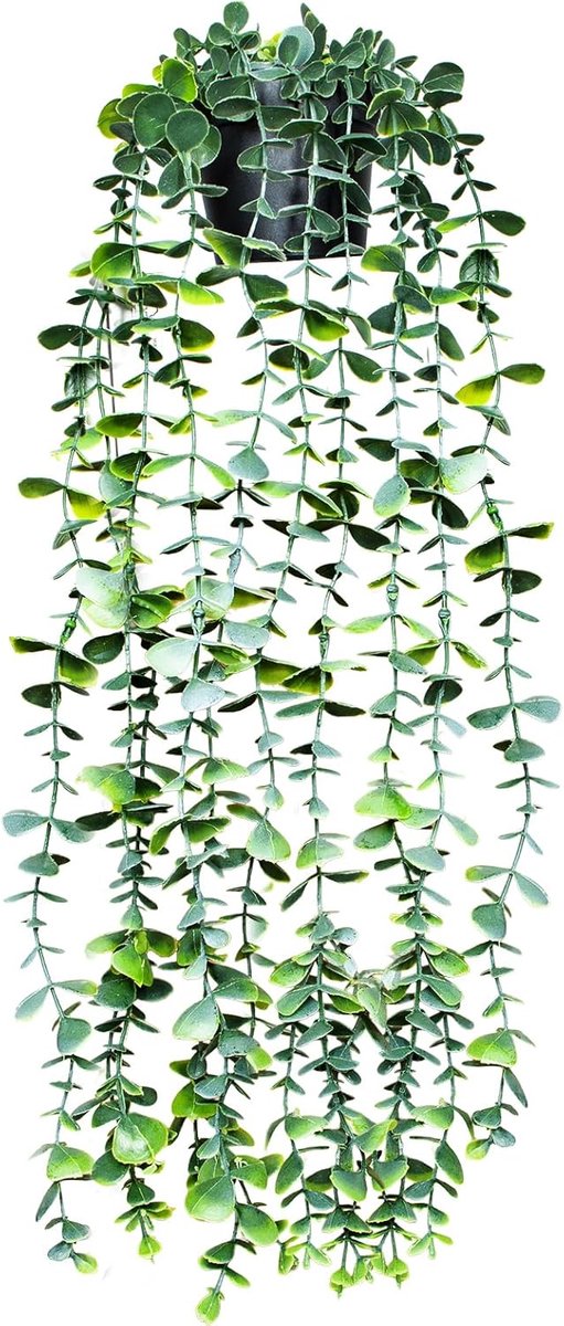 SnelShoppen - Kunstplant Hangend Eucalyptus 56 cm - Plastic Hangplant met Pot - Natuurlijke Uiterlijk - Decoratie voor Thuis, Kantoor, Porche, Wand, B