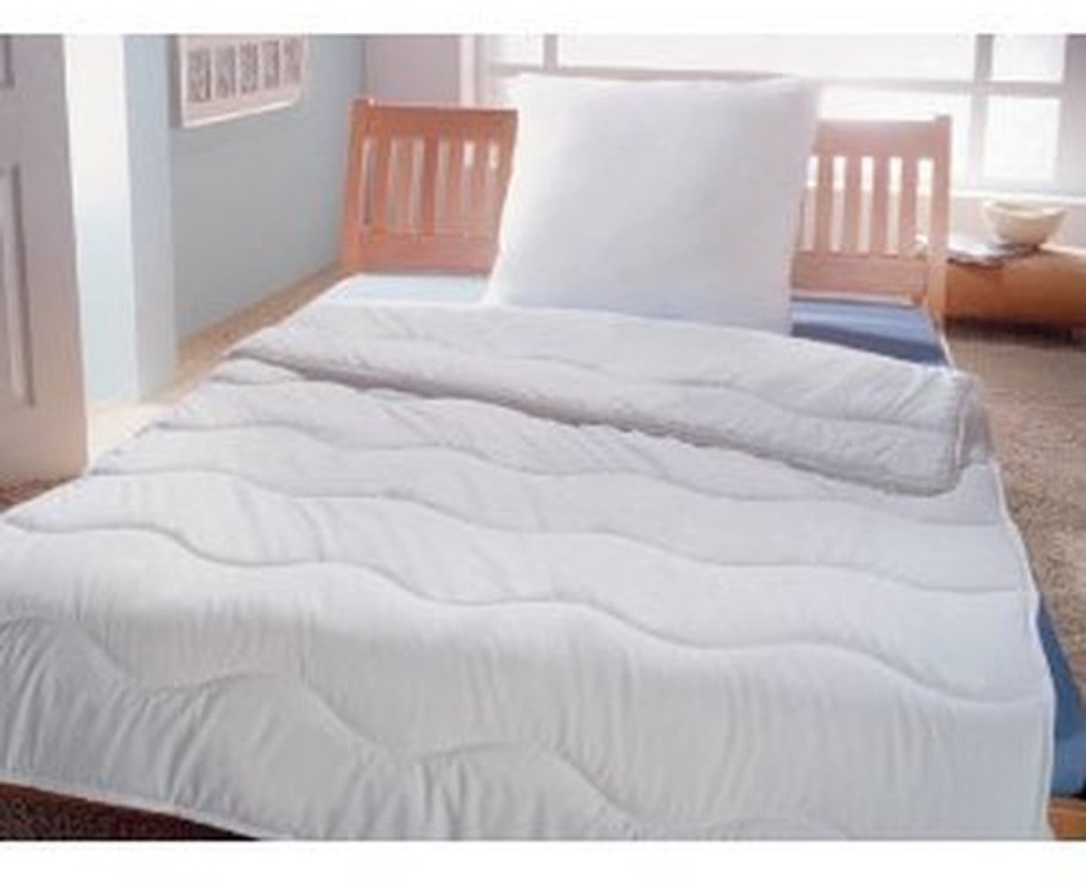 Solidchoice - 2-delige Microvezel Beddenset voor Allergieën