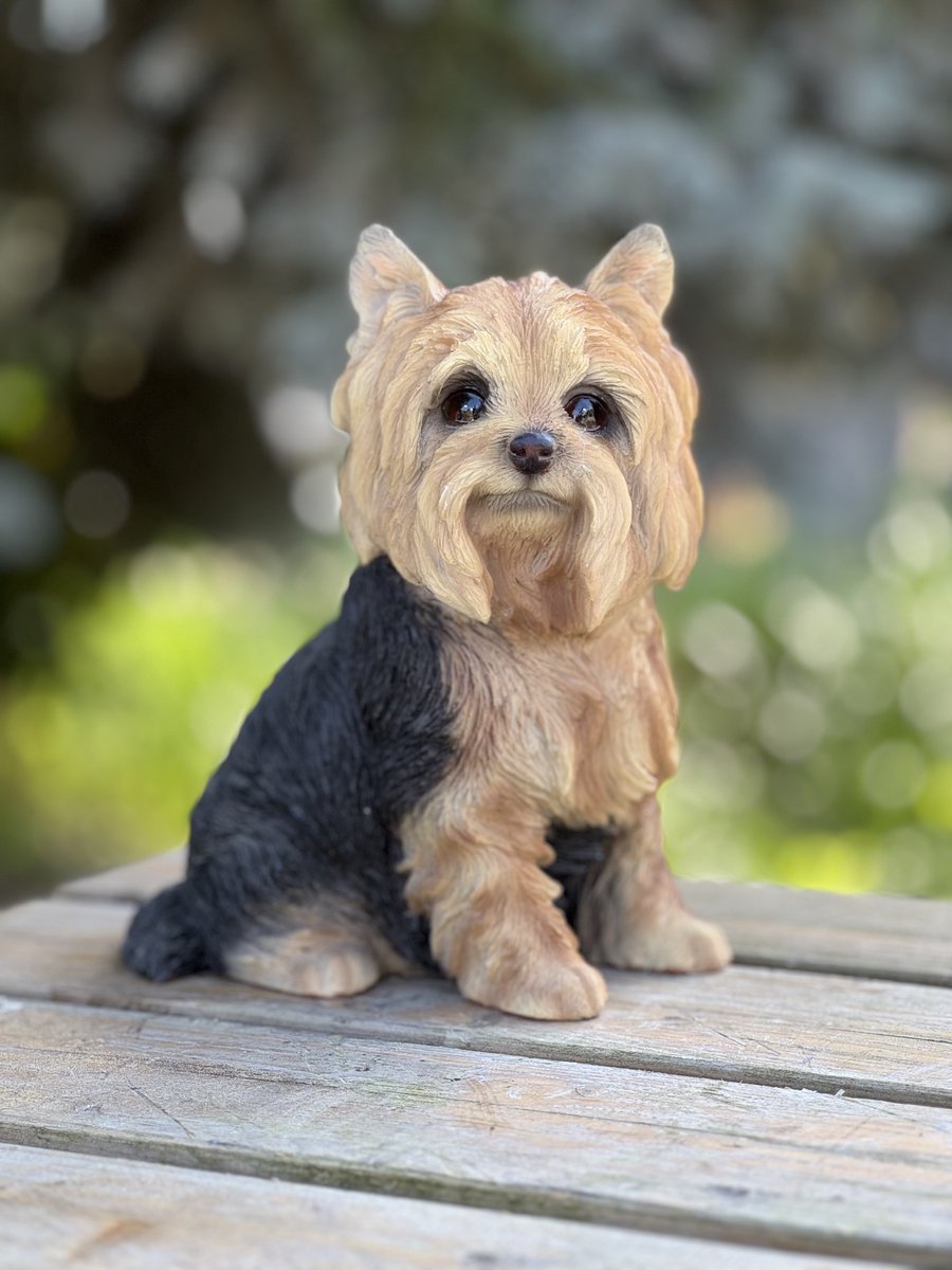 Yorkshire Terriër zittend 22 cm hoog ess - hond - dierenbeeld - puppy - decoratief beeld - voor buiten - voor binnen - cadeau - geschenk - voor hem - voor haar - Nieuwjaar - Kerst - Valentijn - Verjaardag - Pasen Moederdag - Vaderdag