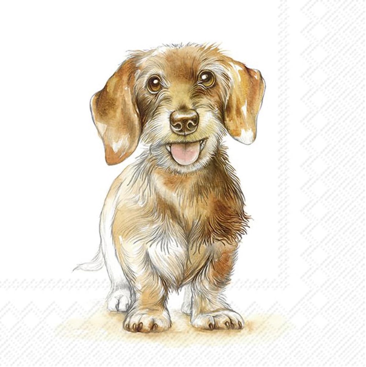 Servetten dieren 33x33cm - ruwhaar teckel - 20 papieren servetten - decoratie voor speciale gelegenheden - ShopVlot