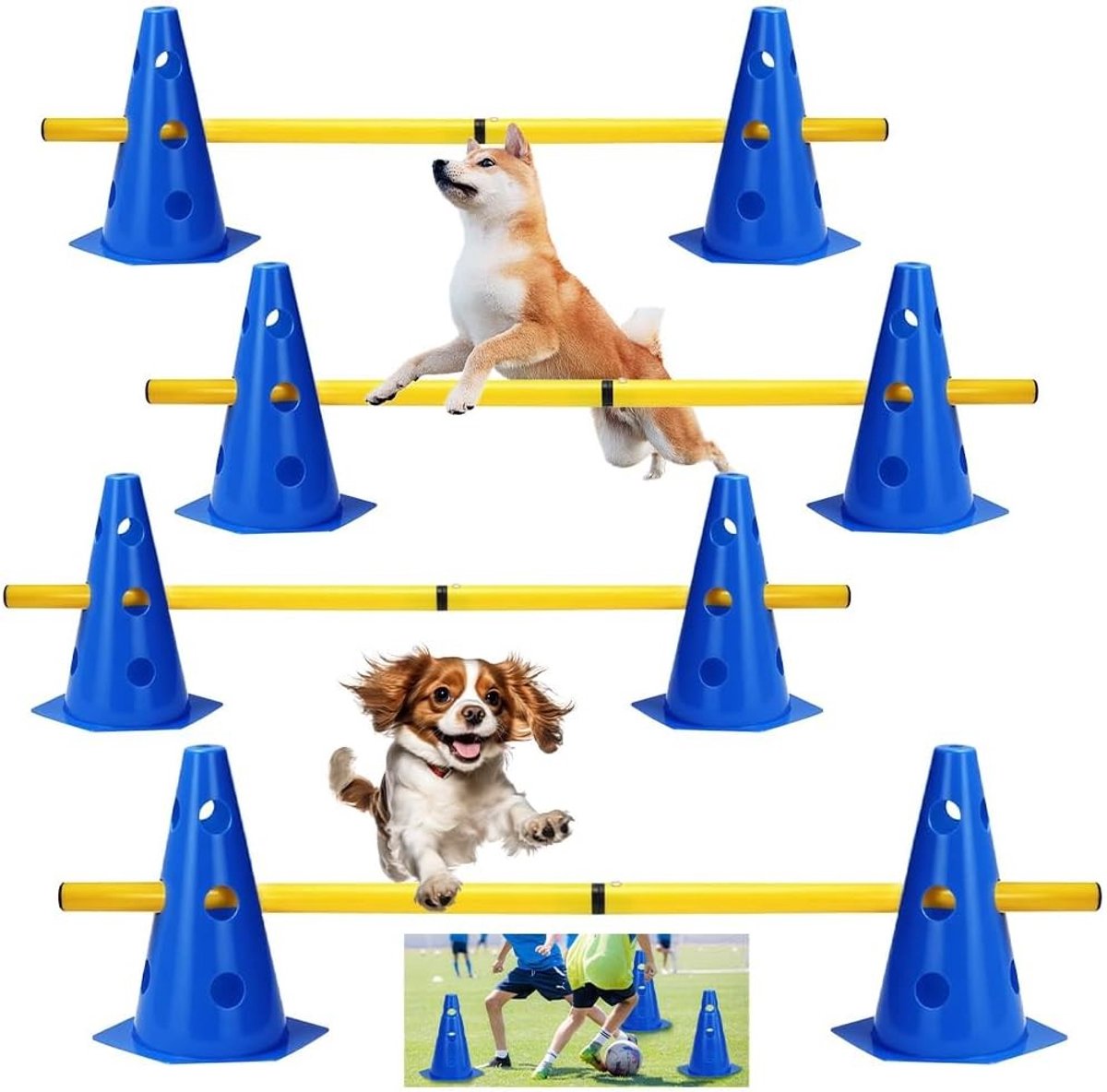 Agility hindernissen set voor kinderen en honden, coördinatietraining, multifunctionele obstakels en kegels voor team- en balsporten