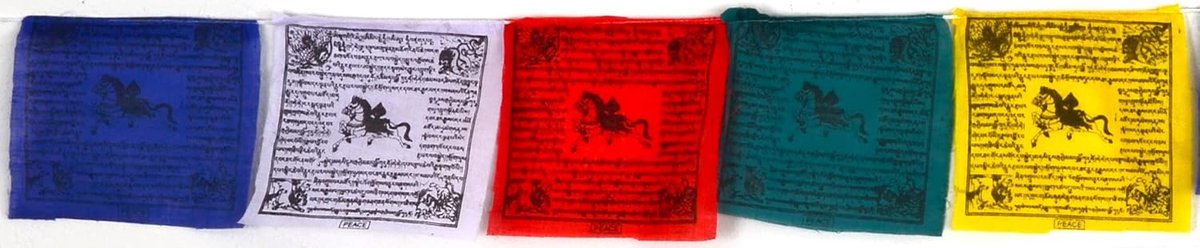 Tibetan Prayer Flags, Tibetan Flags, 10 Flags of 16 x 15 cm, 1.6 m - ShopVlot