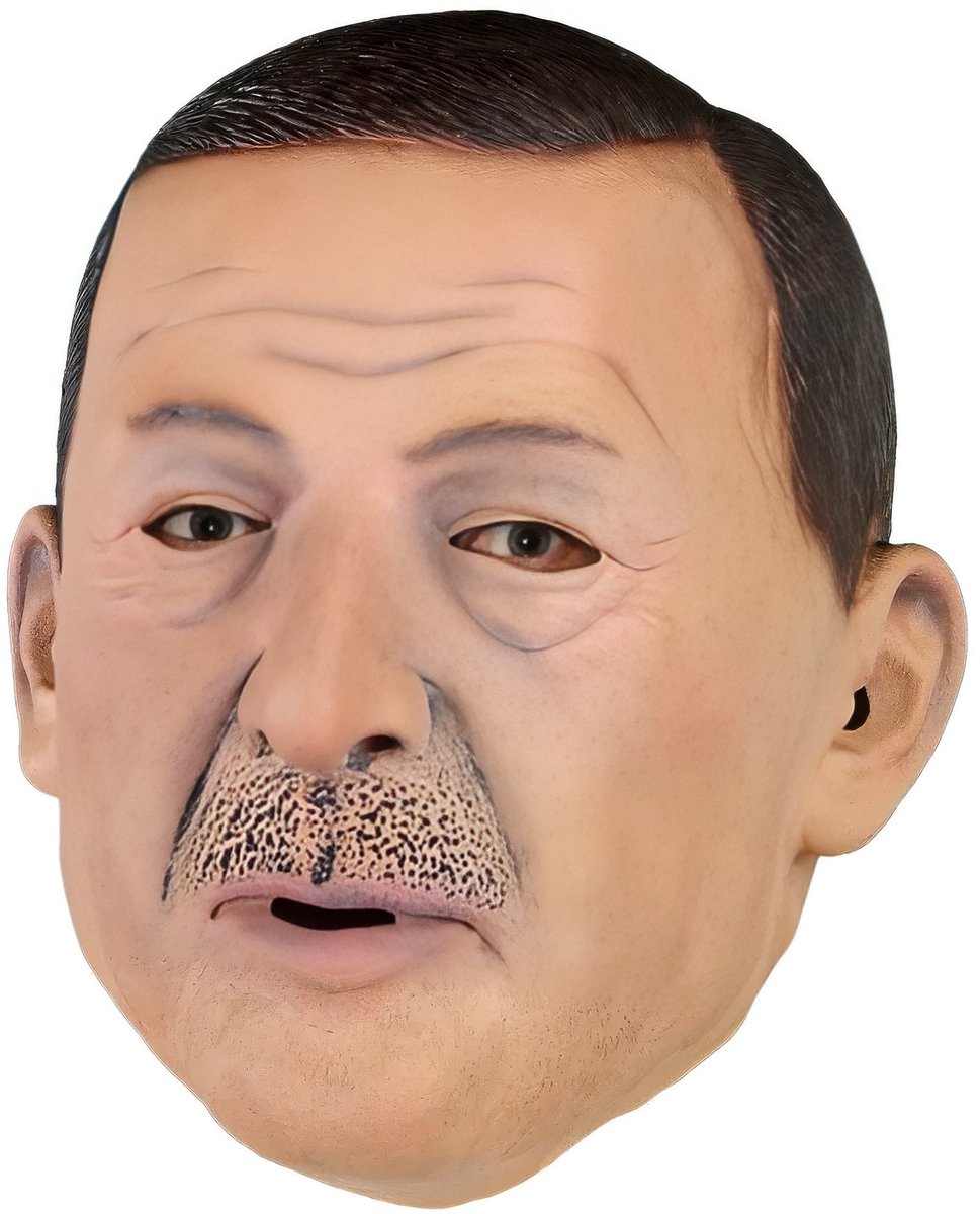 Erdogan Politieker Masker