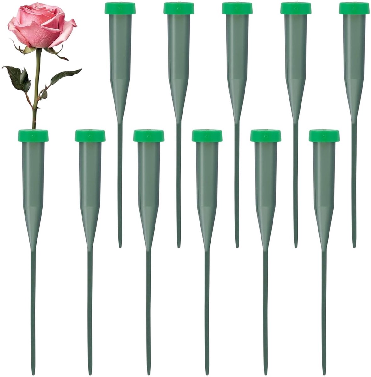 Solidchoice - 10 Stuks Orchideeënbuisjes met Deksel voor Bloemstukken