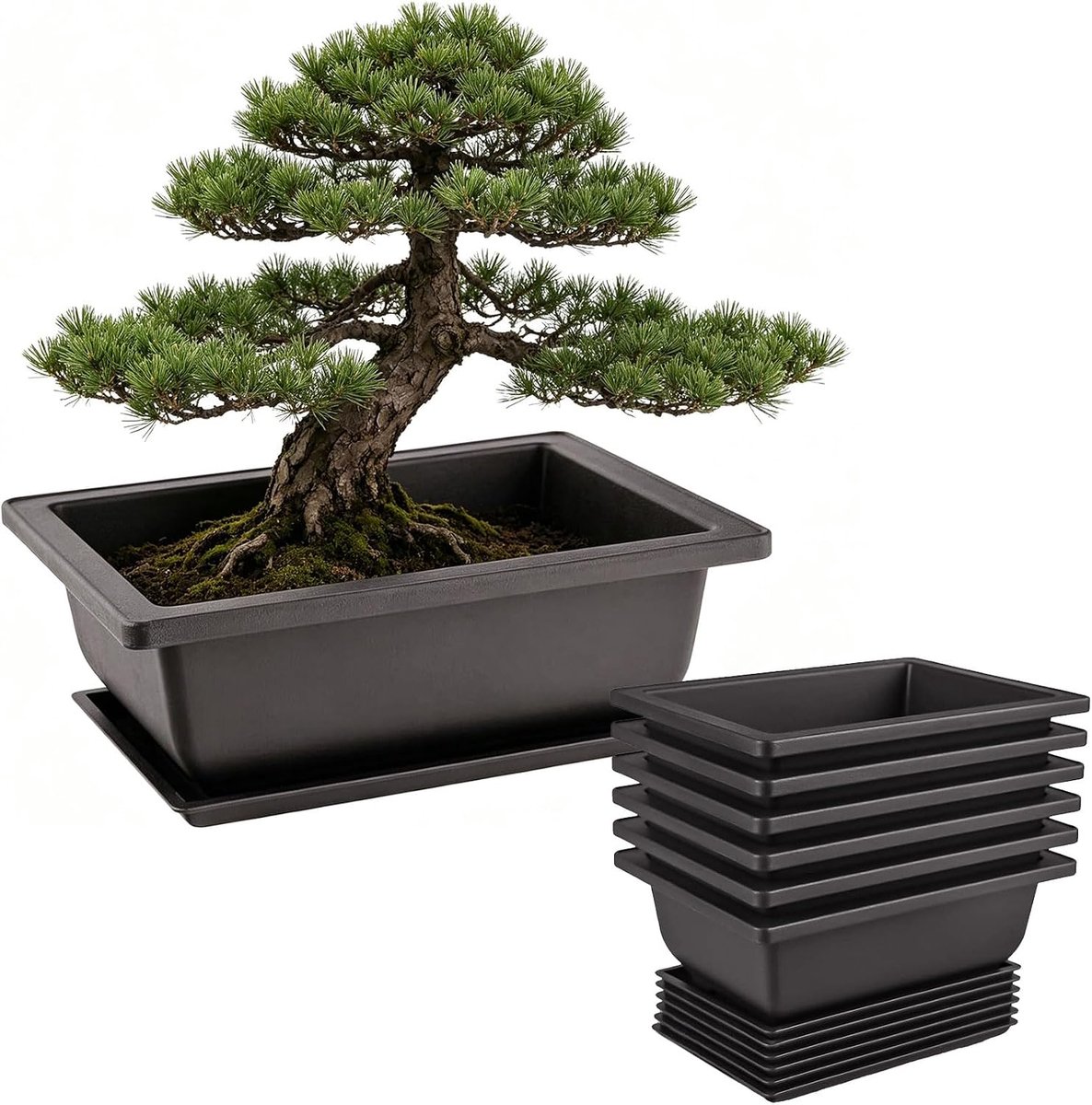 Bonsai pot 16,5 x 12 x 6 cm - set van 6 herbruikbare bonsai kommen - met drainagegaten - ideaal voor tuin en balkon - ShopVlot