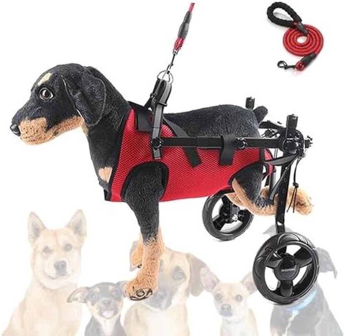 Hondenrolstoel - Hondenhulp - Mobiliteit verbeteren - Verstelbare pasvorm - Lichtgewicht 1.4 kg - Zwart