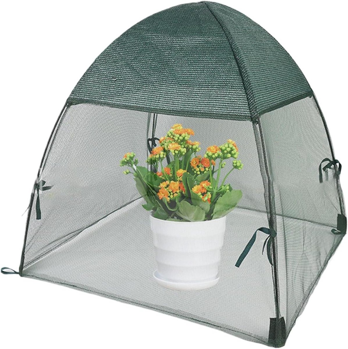 Plantenkas - Mini kas - Planten beschermen - Duurzaam materiaal - 56 x 56 x 56 cm - Transparant