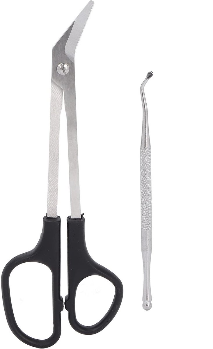 Dailygoods- Tenenknipper Hoogwaardige Roestvrij Stalen Handgreep - Nagelschaar - Ergonomisch Ontwerp - Voor Volwassenen - Geschikt Voor Ouderen - Comfortabel Gebruik - Nagelknipper