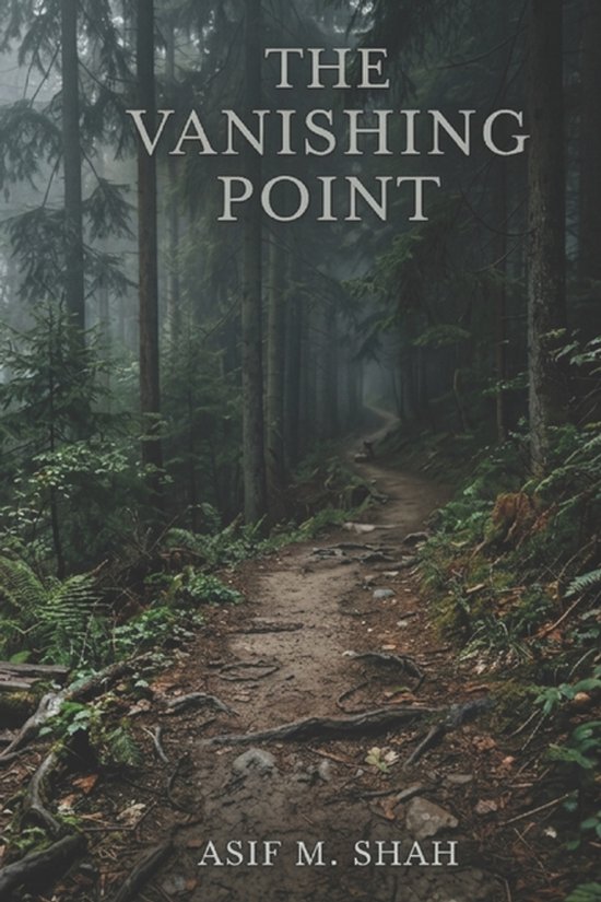 The Vanishing Point - cover