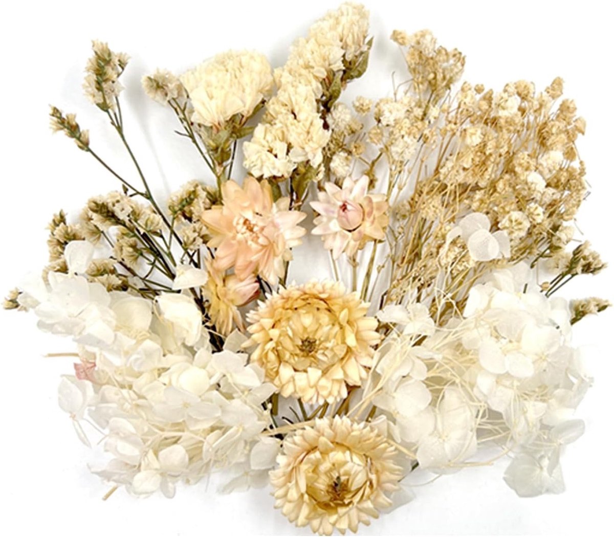Diverse Gedroogde Bloemen voor Creatieve Projecten, DIY Decoratie, Epoxy Hars, Scrapbooking en Kaarten Maken (Witte Verpakking)