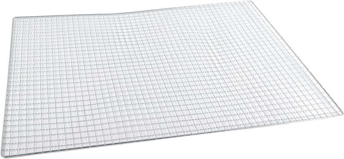 BBQ Grillrooster - Roestvrij Staal - Buiten Koken - Kruislingse Gaasstructuur - 60 x 40 cm - Zilver