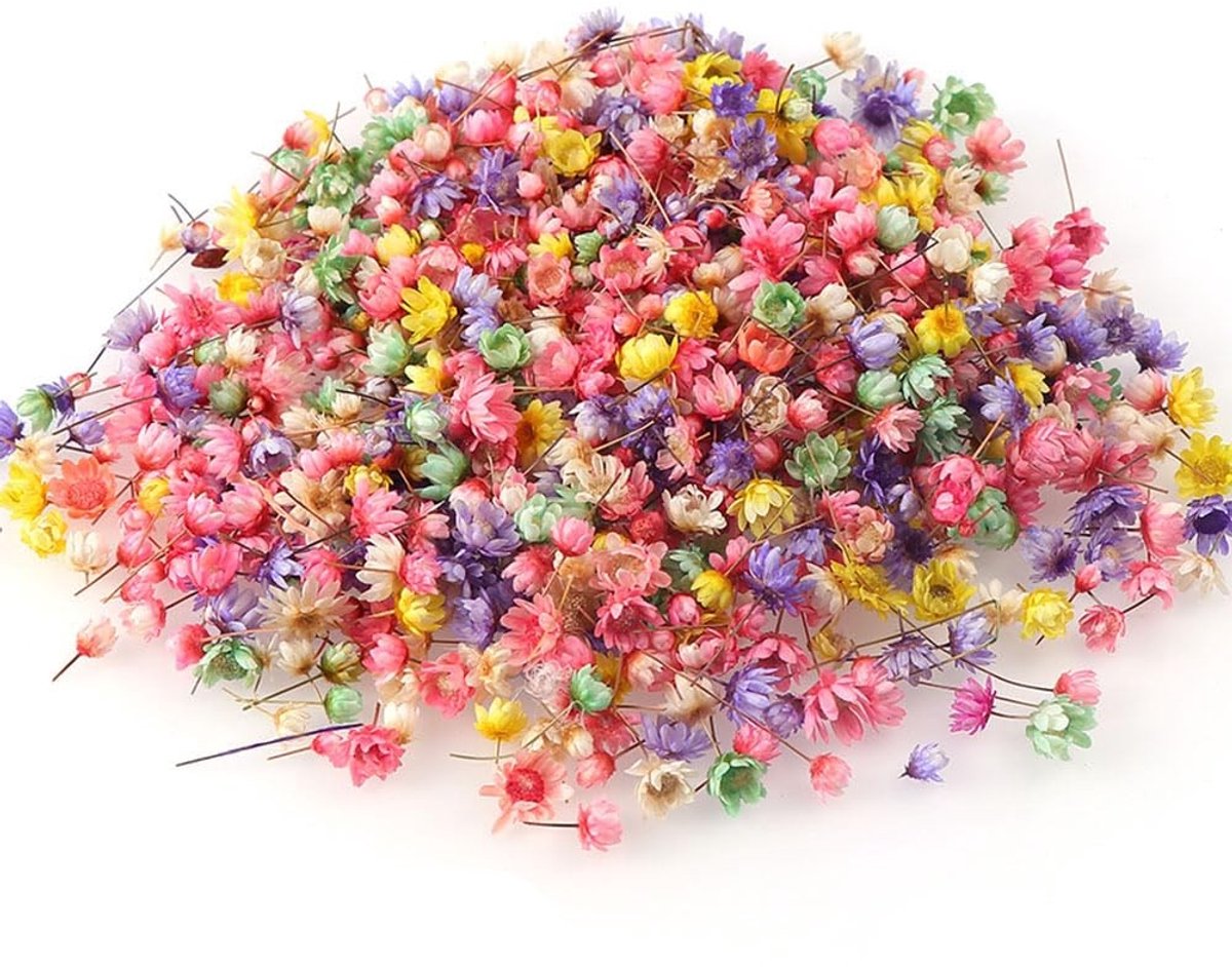 200 Stuks Gedroogde Bloemen - Decoratie voor Kaarten en Cadeaus