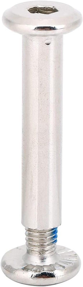 Inline Skate Vervangingsschroeven en Lagers - 10 Stuks Hardware voor Skatewielen en Asen (31mm)