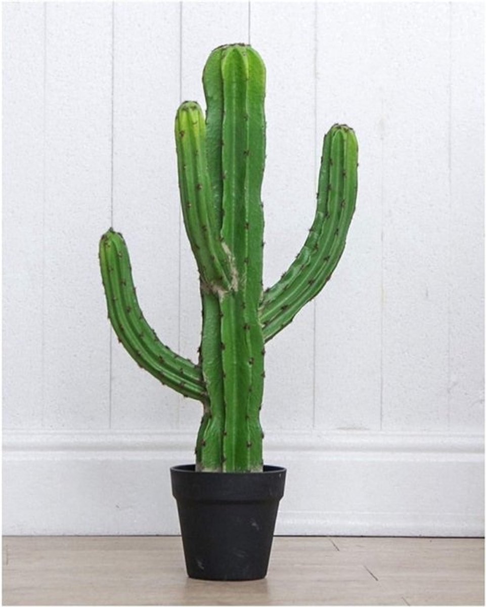 Kunstplant Cactus - Nep Plant Kunstbloem - Woonkamer Decoratie - Eco-vriendelijk Materiaal - 65 cm - Groen