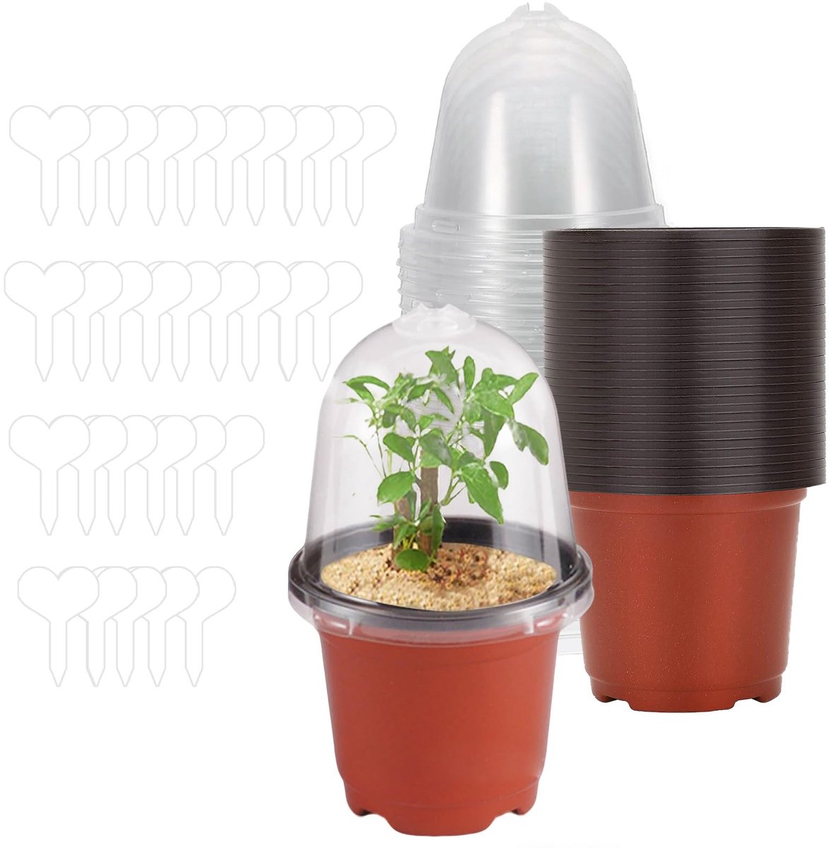 Famanu – Kweekpotten set van 30 stuks, 9 cm rond, kunststof orchideeënpotten met plantenlabels en vochtkoepels (rood