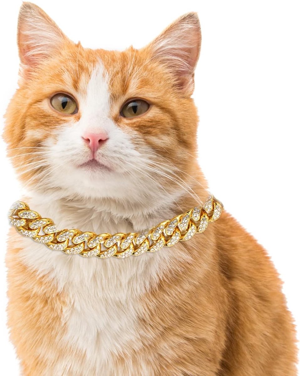 Iced Out Gouden Ketting voor Kat, 14MM Diamant Cuban Link Halsketting, 22cm Maat met Gratis Cadeaubox voor Decoratie