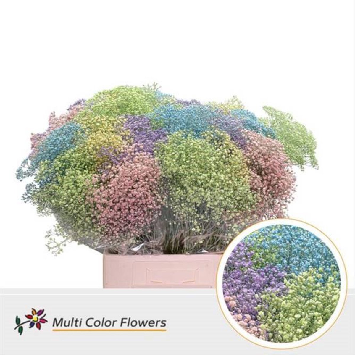 25x Gipskruid m.stars pastel mix 80cm