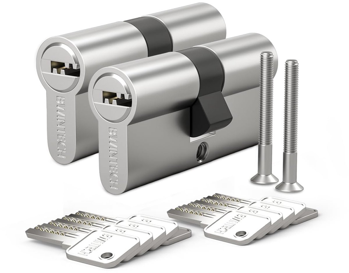 Bwintech 2 stuks 30/30 mm Euro Messing Cilinder, 60mm Sleutel/Key Barrel Lock Met 10 Horizontale Messing Sleutels - ShopVlot