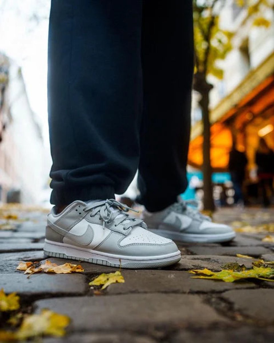Nike Dunk Low Grey Fog