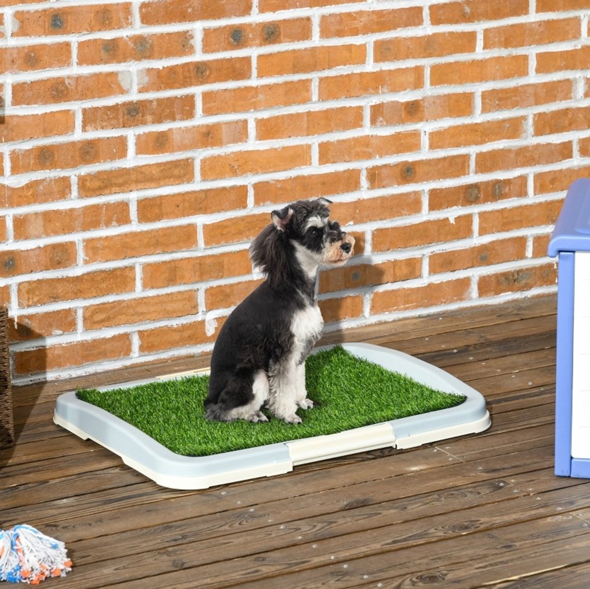 REDOM - Hondentoilet met kunstgras - Kunststof tray met opstaande rand - Herbruikbaar en eenvoudig schoon te maken - Voor puppytraining binnen en buiten - Groen - 63 x 48,5 x 6 cm