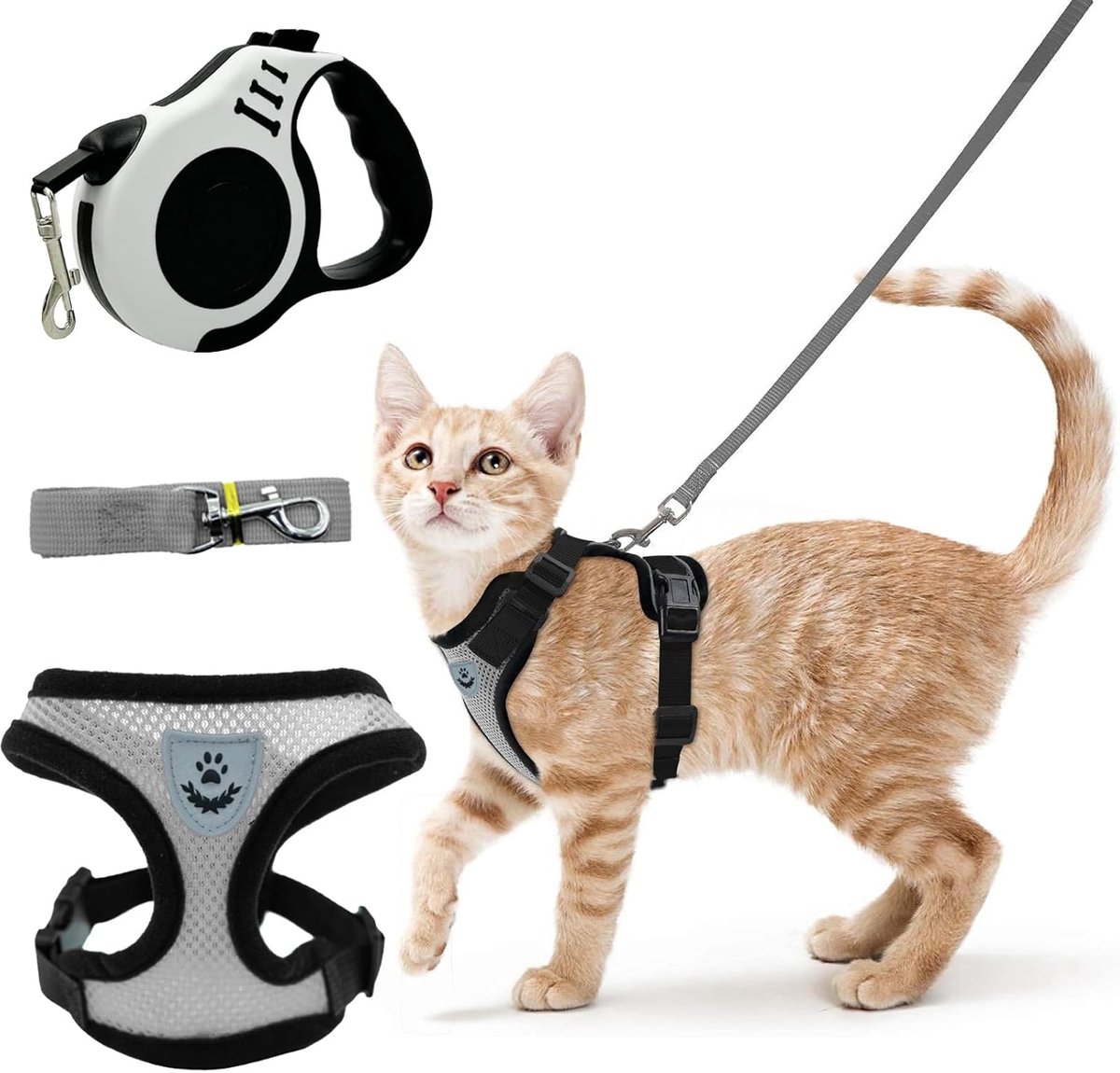 kattentuigje met looplijn - Kattenharnas en kattenriem - Maat S -verstelbaar - Hondentuigje - Hondenharnas - Voor kleine honden, konijnen, Europese katten, Maine Coon en Perzisch - Zwart