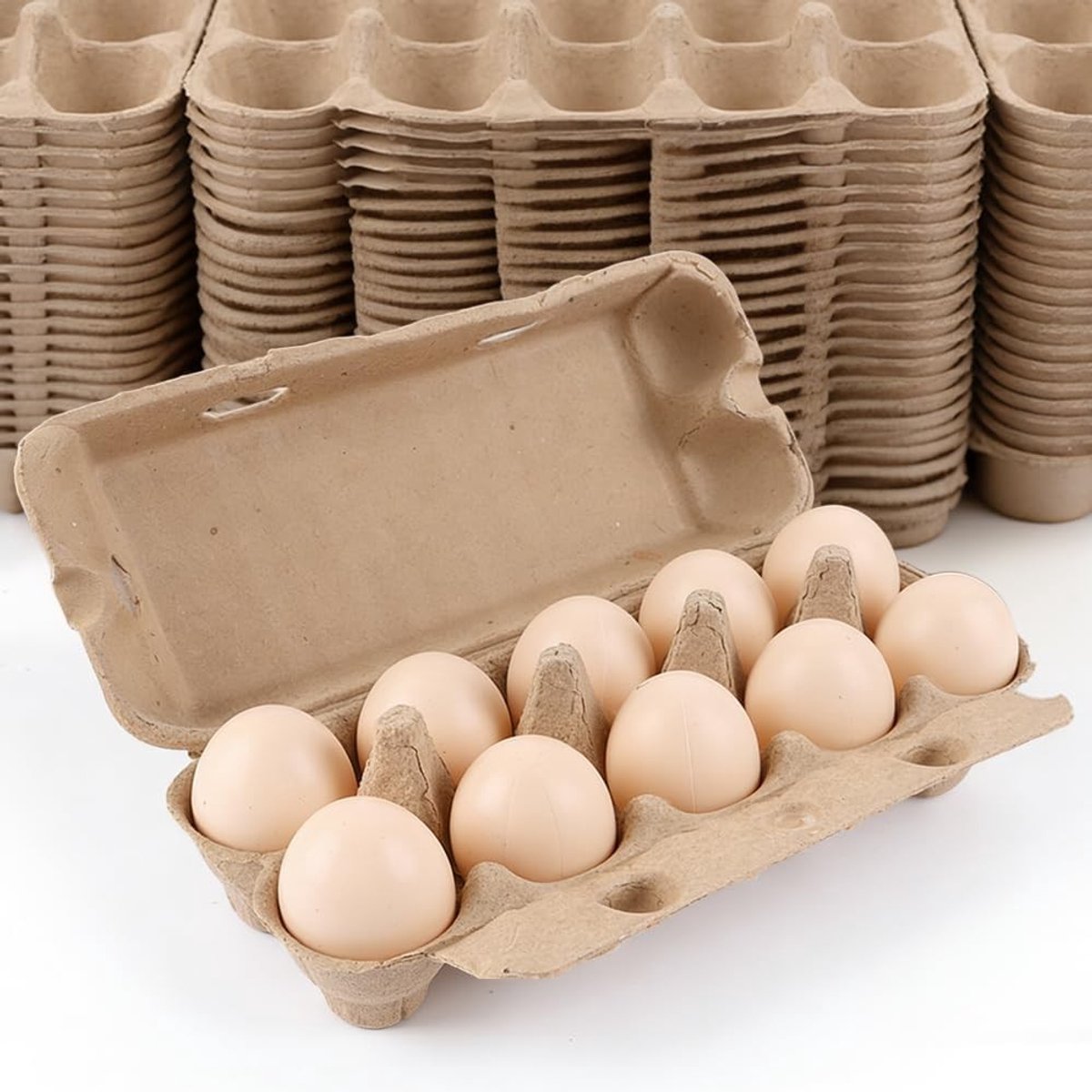 20 Stuks Biologisch Afbreekbare Eierdozen van Karton met Deksel voor Eieren en Handwerk, Maat L