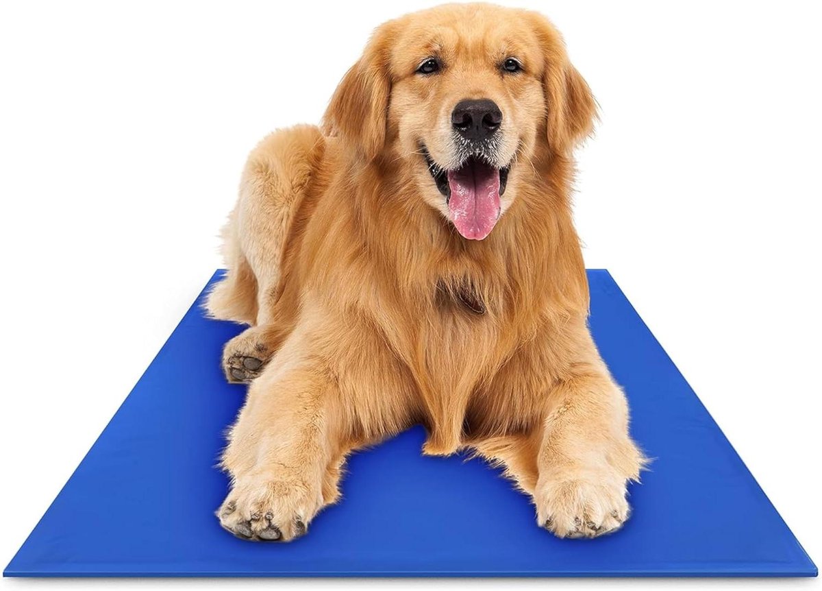 Hondenkoelmat - Koeldekens huisdier - Comfort bieden - Drukgeactiveerde gel - 90 x 80 cm - Blauw
