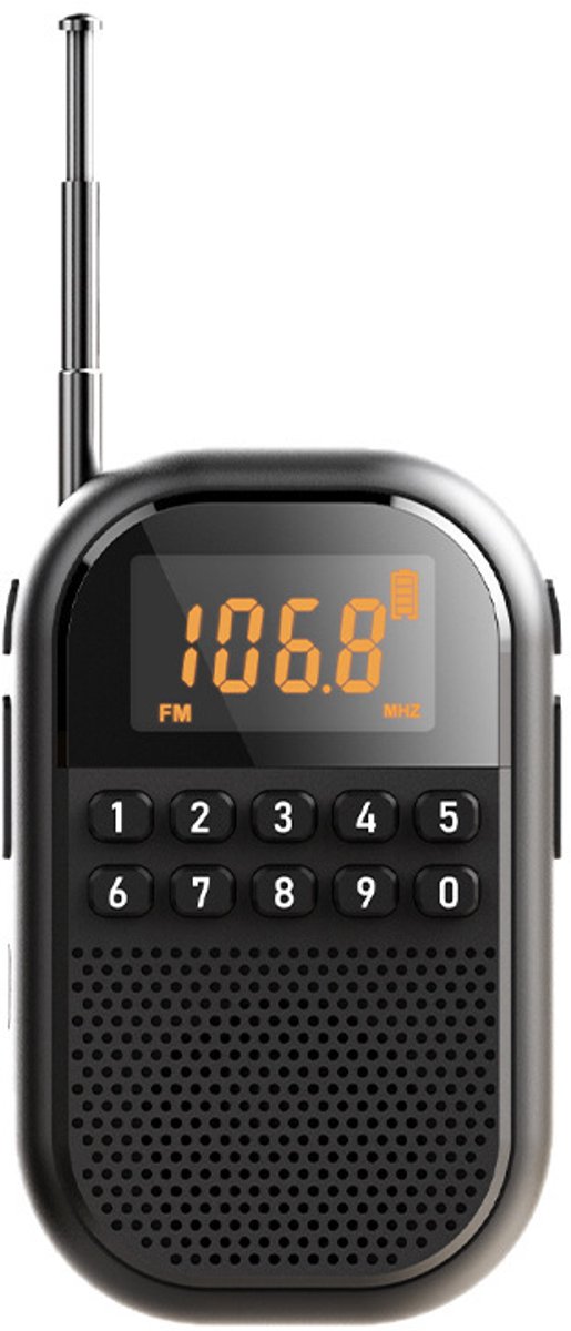AM/FM-zakradio met Bluetooth-luidspreker – AM/FM-zakradio – mini-digitale oplaadbare tuner – TF-kaartondersteuning – LED-display – timer – eenvoudig te gebruiken voor joggen, wandelen.L