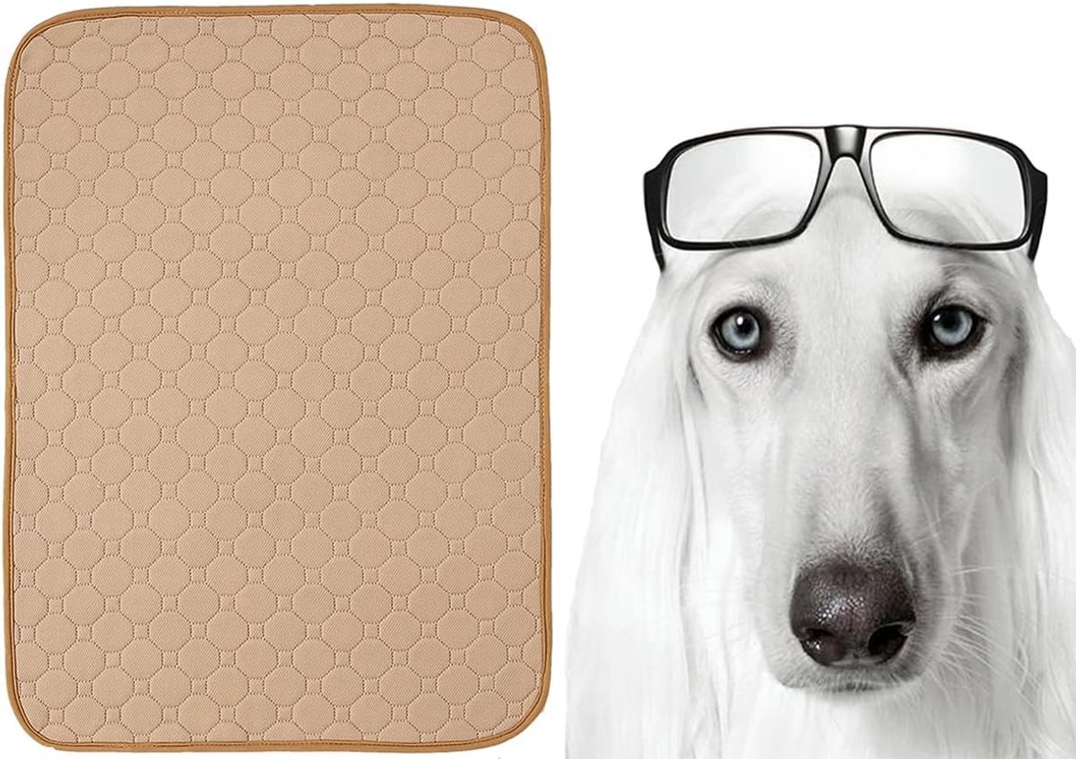 Absorberende en Wasbare Hond en Kat Urine Pad, Hygiënische Training Mat, Waterdicht en Herbruikbaar, Perfect voor Huisdieren