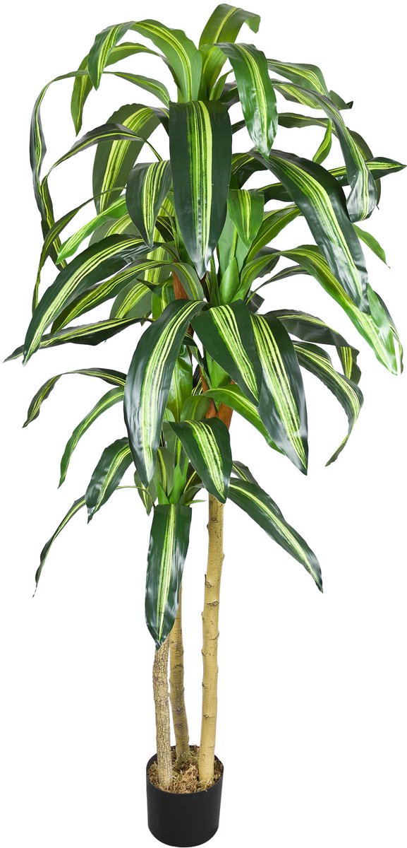 Kunstmatige Valse Drakenboom Plant Decoratie Bininnen Echt Hout 180cm DECOVEGO