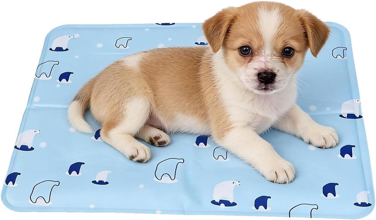 Koelmat Honden - Antislip Dekentje Dieren - Verkoeling Zomer - Drukgeactiveerde Gel - 41x31 cm - Blauw