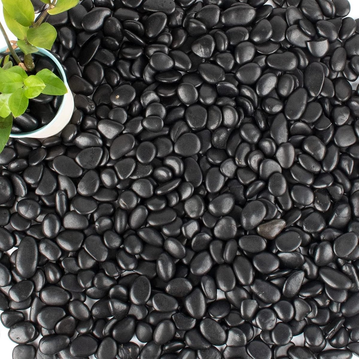 Decoratieve Zwarte Kiezelstenen - Natuurlijk - Waterneutraal en Visvriendelijk - Ideaal voor Tuin en Aquarium - 1 kg