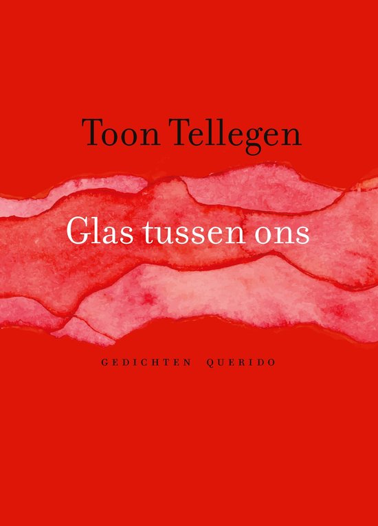 Omslag van Glas tussen ons