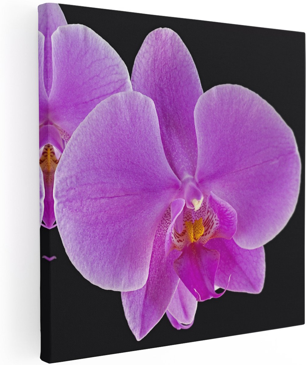 Artaza Canvas Schilderij Licht Paarse Orchidee - Bloem - 100x100 cm - Groot - Wanddecoratie Woonkamer - Schilderijen - Muurdecoratie