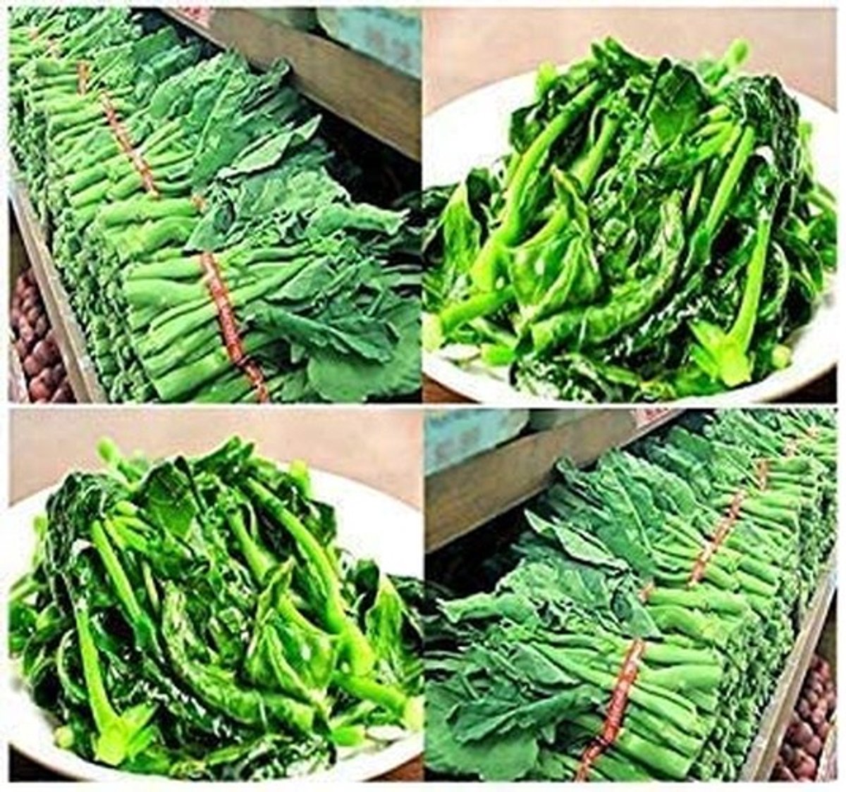 Solidchoice - 250 Zaden van Broccoli Kailan