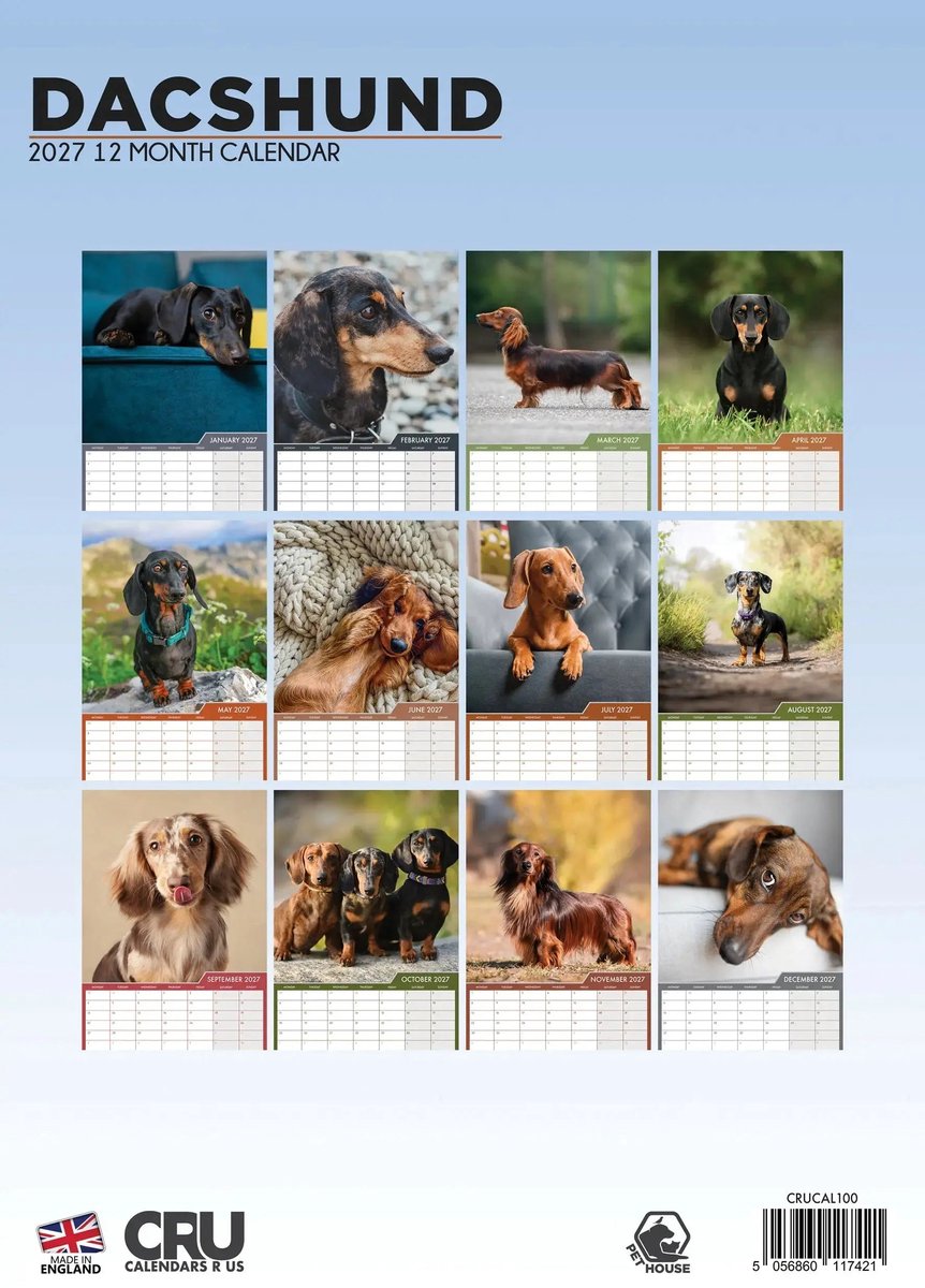 Teckel A3 Kalender 2027