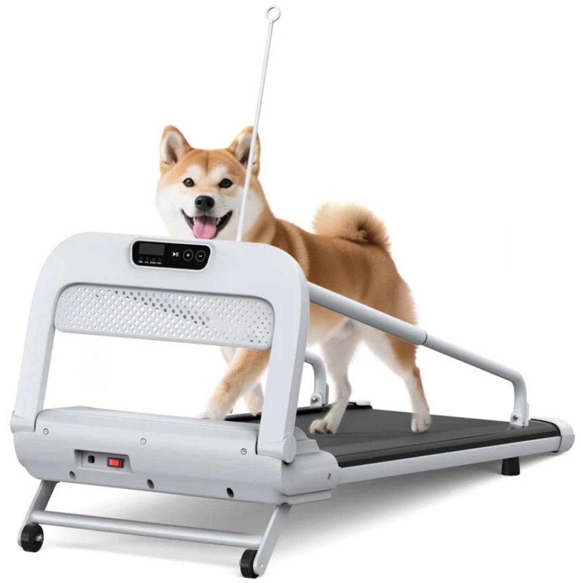 G&G honden loopband - Hondenloopband - Honden fitness - Inklapbaar - Helling 5.5° - Afstandsbediening - Stil - 100x40cm - Wit