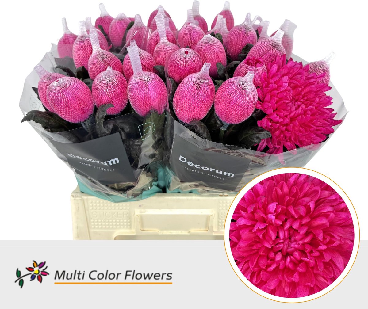 10x Chrysant antonov hot pink 70cm