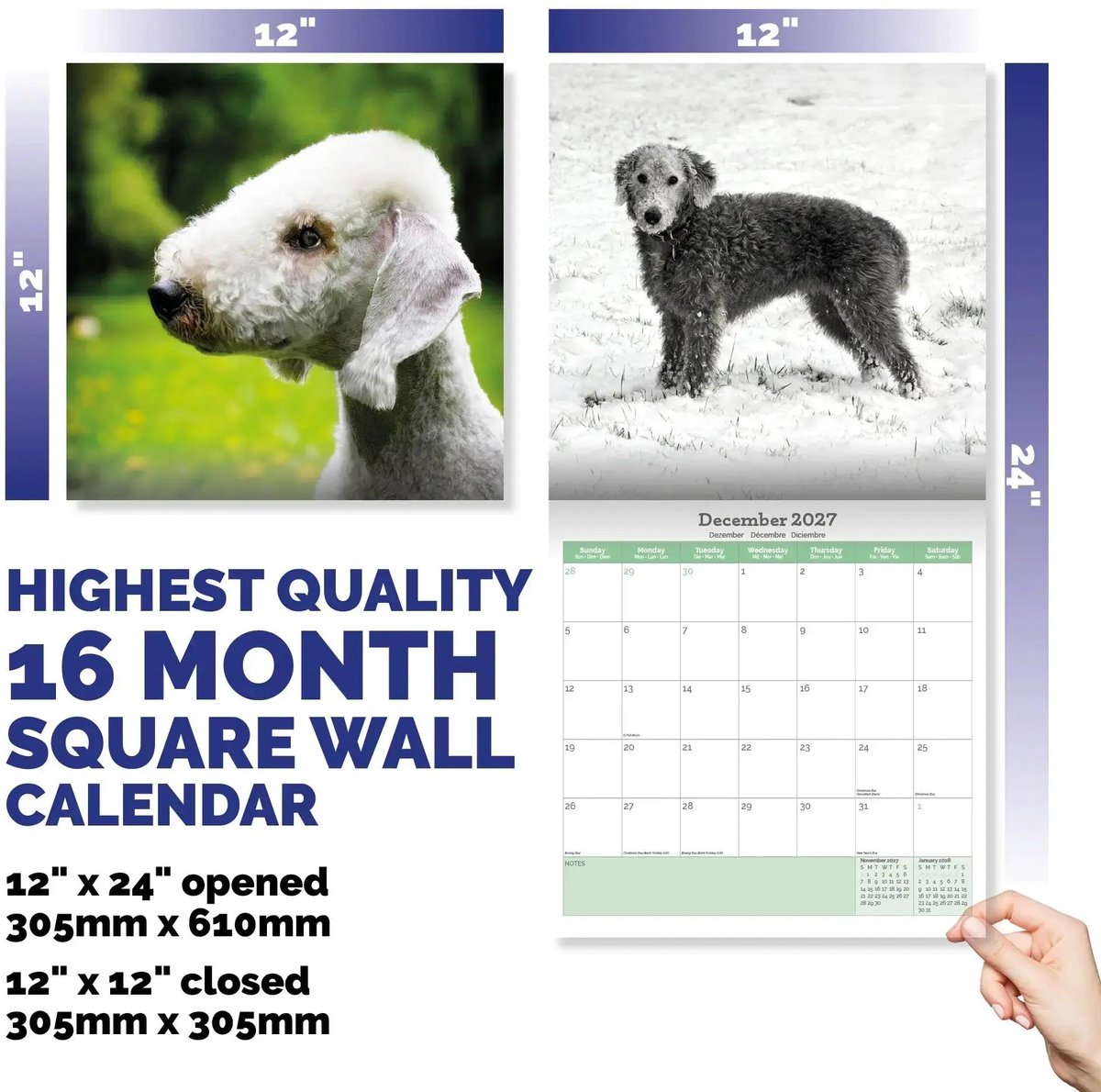 Bedlington Terrier Kalender 2027