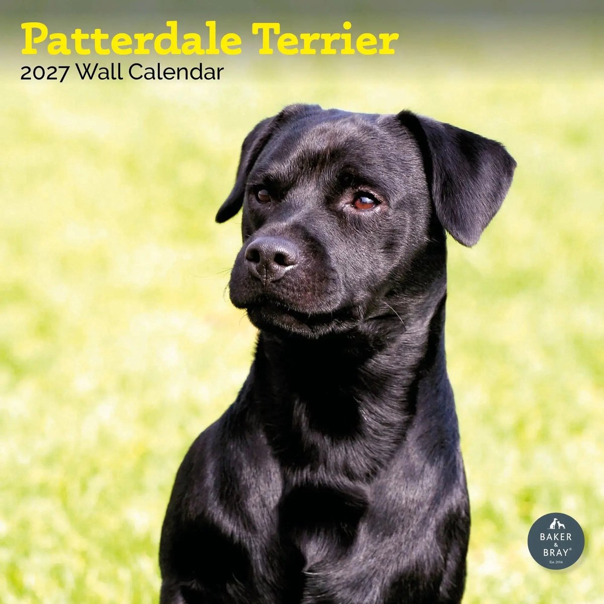 Patterdale Terrier Kalender 2027