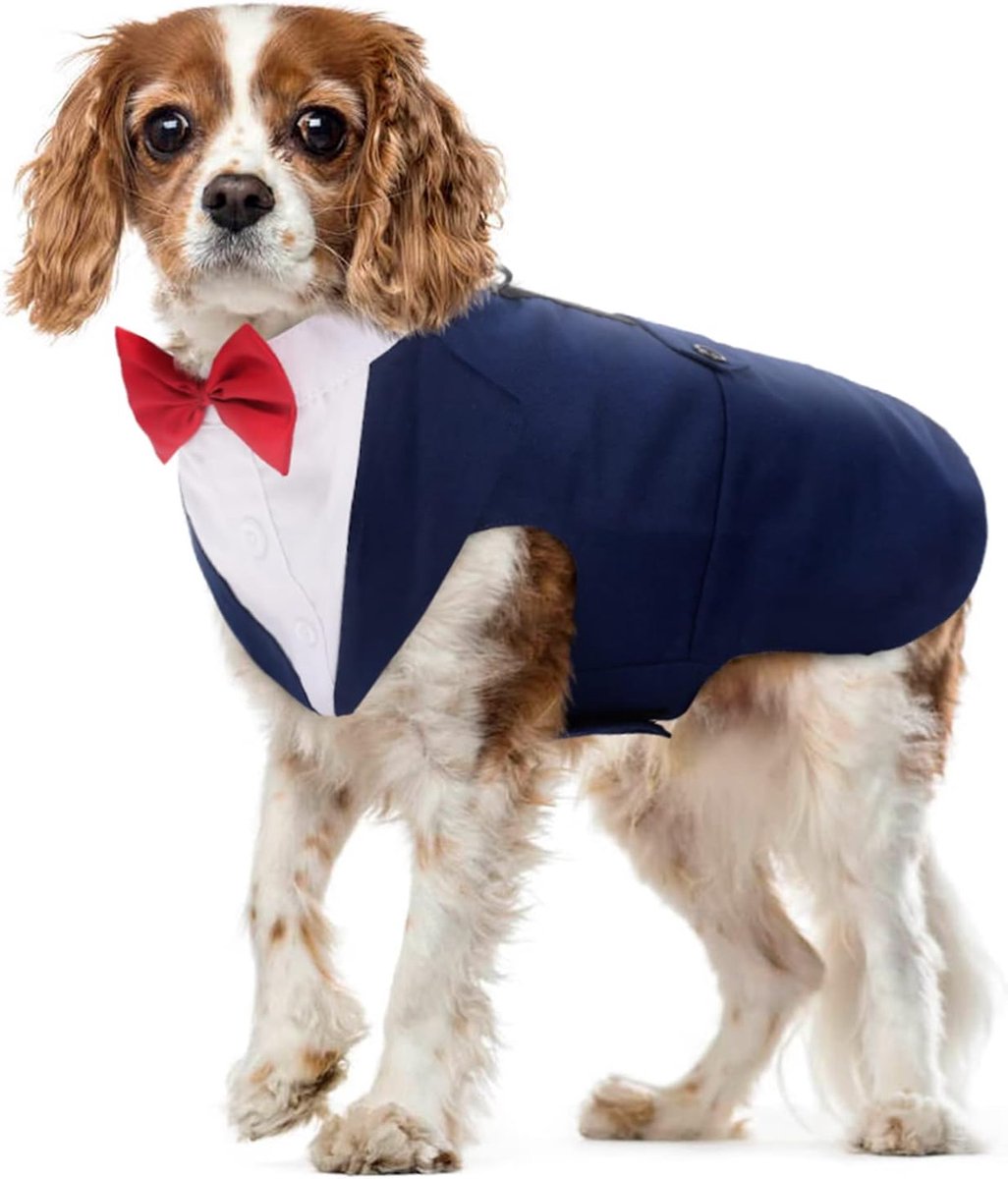 set van pak en befje met vlinderdas, puppy-kostuum, jasje voor formele aangelegenheden, bruiloft, feest, verstelbaar (blauw, M)