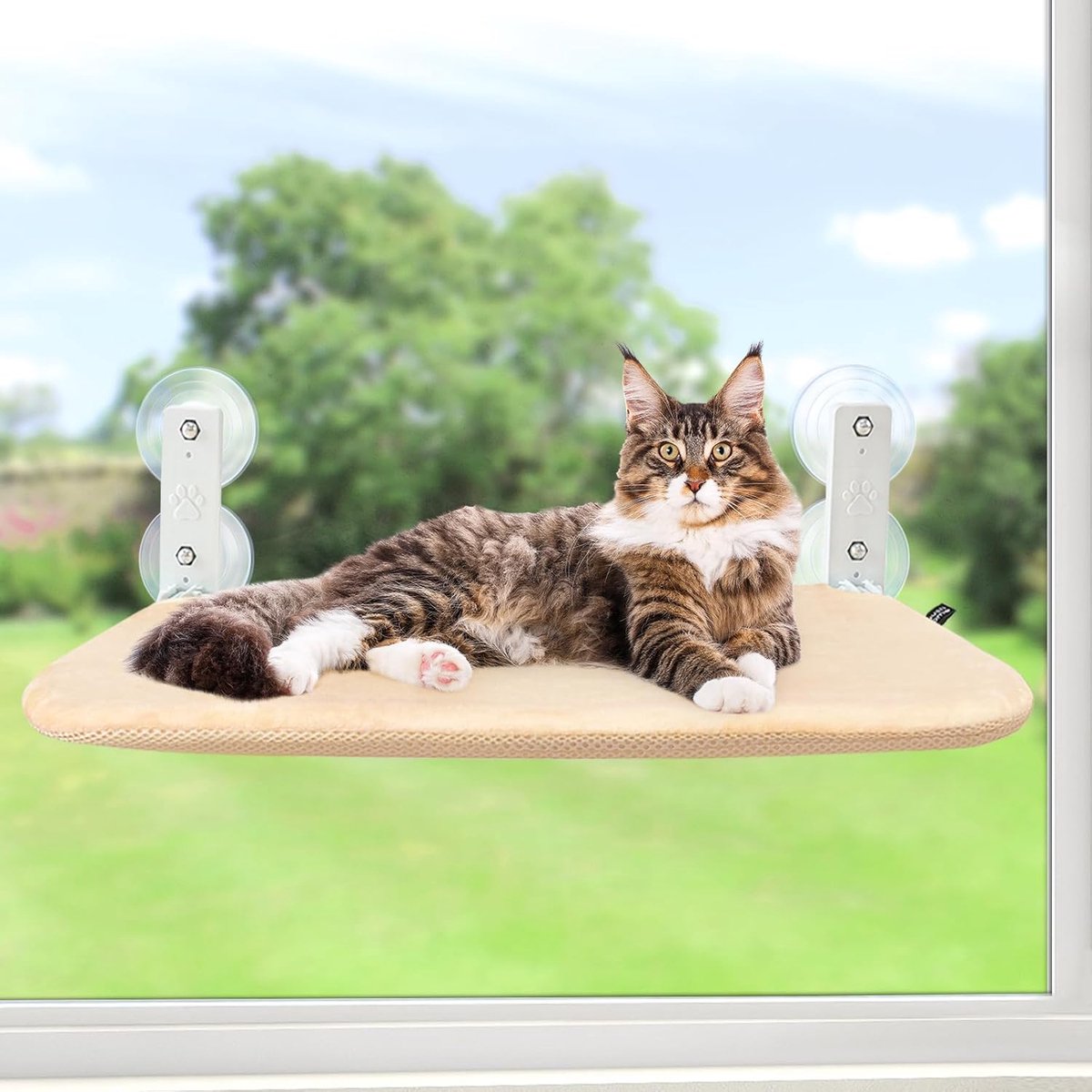 Raam Snoerloze zitstokken Vensterbank Zitbed Opvouwbaar Stabiel ligbed Verbeterde zuignap Eenvoudige montage Binnenkatten Kitty Plank Houdt tot 25 kg (beige, L)